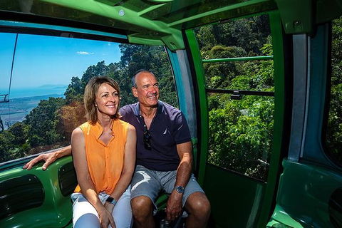 Skyrail Rainforest Cableway Day Trip From Palm Cove - Kingaroy Accommodation 2