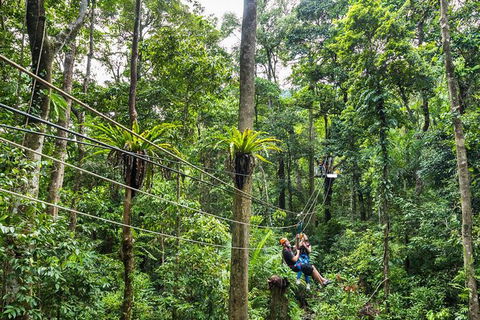 Cape Tribulation And Jungle Surfing Adventure Day From Port Douglas - Kingaroy Accommodation 0