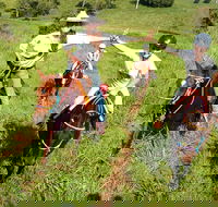 Country Day Ride from Mt Goomboorian with Rainbow Beach Horse Rides - Kingaroy Accommodation