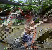 Hartley's Crocodile Adventures Day Trip from Cairns - Kingaroy Accommodation