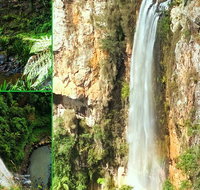 Rainforest  Waterfalls Extravaganza - Kingaroy Accommodation