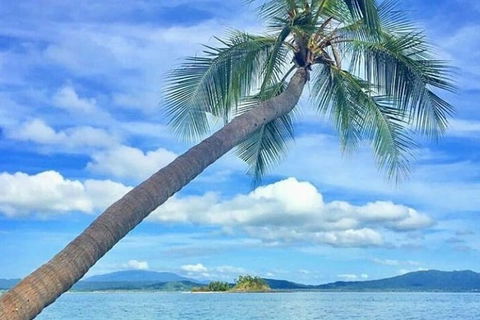 Dunk Island Round-Trip Water Taxi Transfer From Mission Beach - Kingaroy Accommodation 6