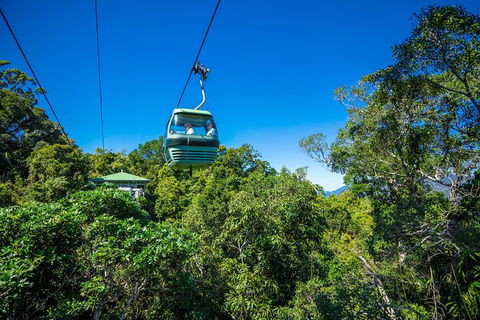 Kuranda Scenic Railway Day Trip From Palm Cove - Kingaroy Accommodation 3