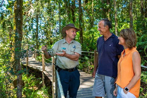 Kuranda Scenic Railway Day Trip From Palm Cove - Kingaroy Accommodation 4