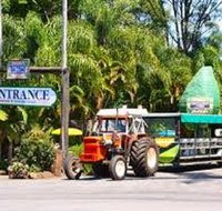 Tropical Fruit World with Wildlife Boat Cruise from Gold Coast - Kingaroy Accommodation