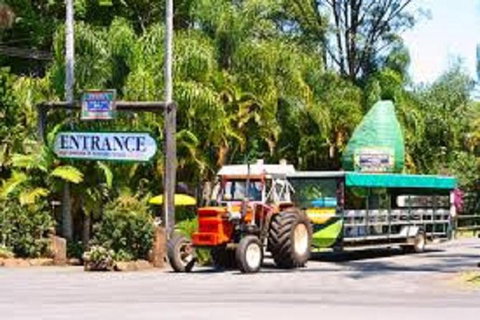 Tropical Fruit World With Wildlife Boat Cruise From Gold Coast - Kingaroy Accommodation 0