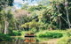 Tropical Fruit World With Wildlife Boat Cruise From Gold Coast - thumb 3