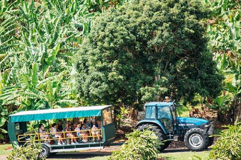Tropical Fruit World With Wildlife Boat Cruise From Gold Coast - Kingaroy Accommodation 14