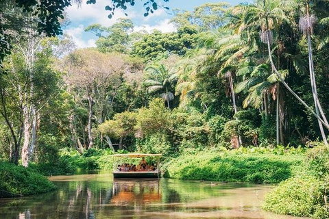 Tropical Fruit World With Wildlife Boat Cruise From Gold Coast - Kingaroy Accommodation 11