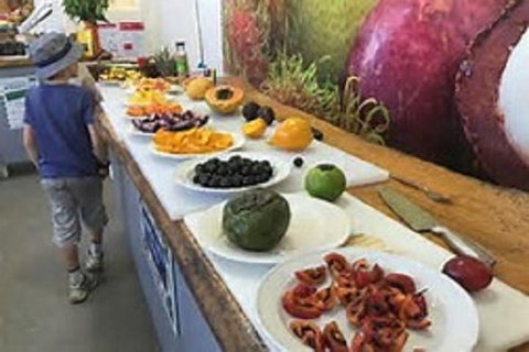 Tropical Fruit World With Wildlife Boat Cruise From Gold Coast - Kingaroy Accommodation 9