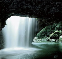 Natural Bridge Glow Worm Night Tour from Gold Coast - Kingaroy Accommodation