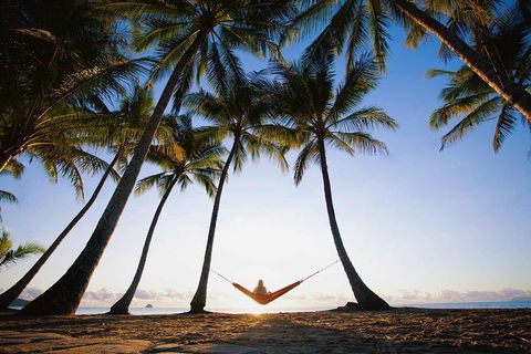 Port Douglas And Hartley's Crocodile Adventure Day Trip From Cairns - Kingaroy Accommodation 0