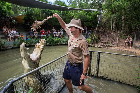 Port Douglas And Hartley's Crocodile Adventure Day Trip From Cairns - Kingaroy Accommodation 1