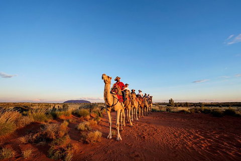Uluru Small-Group Tour By Camel At Sunrise Or Sunset - Kingaroy Accommodation 0