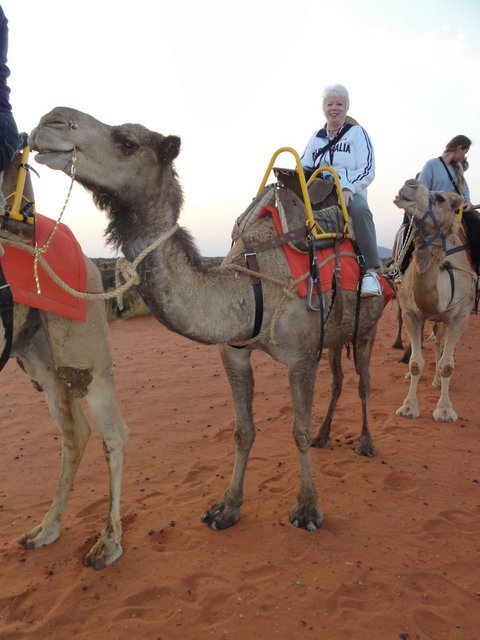 Uluru Small-Group Tour By Camel At Sunrise Or Sunset - Kingaroy Accommodation 2