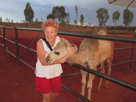 Uluru Small-Group Tour By Camel At Sunrise Or Sunset - Kingaroy Accommodation 18