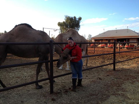 Uluru Small-Group Tour By Camel At Sunrise Or Sunset - Kingaroy Accommodation 21