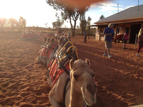 Uluru Small-Group Tour By Camel At Sunrise Or Sunset - Kingaroy Accommodation 22