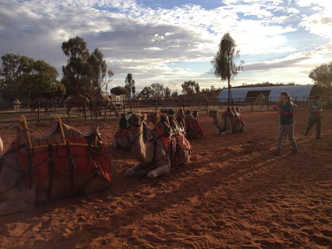 Uluru Small-Group Tour By Camel At Sunrise Or Sunset - Kingaroy Accommodation 23