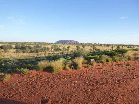 Uluru Small-Group Tour By Camel At Sunrise Or Sunset - Kingaroy Accommodation 9