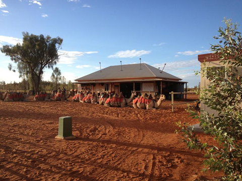 Uluru Small-Group Tour By Camel At Sunrise Or Sunset - Kingaroy Accommodation 20