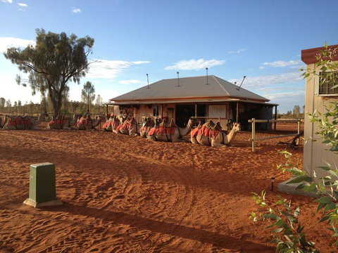 Uluru Small-Group Tour By Camel At Sunrise Or Sunset - Kingaroy Accommodation 19
