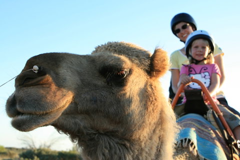 Uluru Small-Group Tour By Camel At Sunrise Or Sunset - Kingaroy Accommodation 3