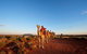 Uluru Small-Group Tour By Camel At Sunrise Or Sunset - thumb 26