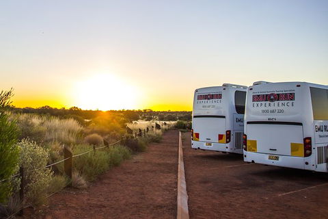 Uluru And Kata Tjuta Experience With BBQ Dinner - Kingaroy Accommodation 4