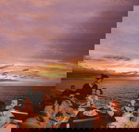 Darwin Harbour Sunset Cruise with Optional Buffet Dinner - Kingaroy Accommodation