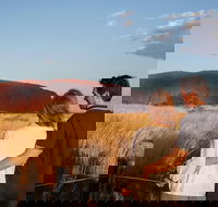 Uluru Ayers Rock Sunset with Outback Barbecue Dinner and Star Tour - Kingaroy Accommodation