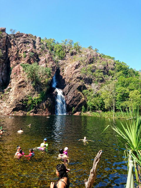 Litchfield And Jumping Crocodiles Full Day Trip From Darwin - Kingaroy Accommodation 3