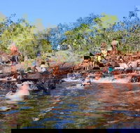 Litchfield and Jumping Crocodiles Full Day Trip from Darwin - Kingaroy Accommodation