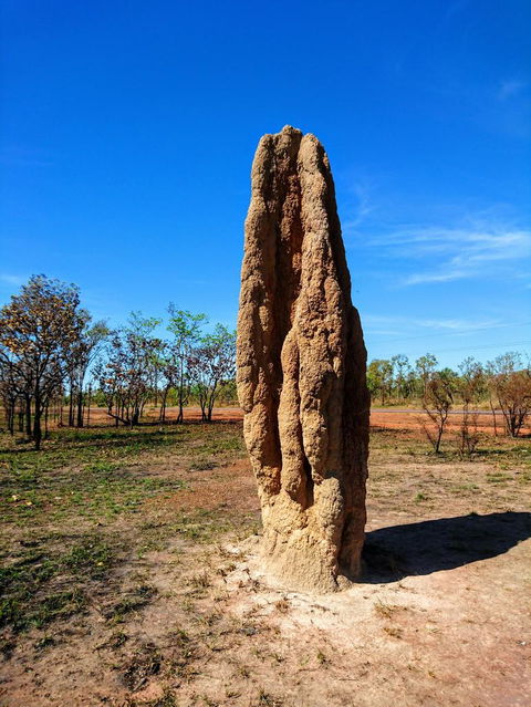 Litchfield And Jumping Crocodiles Full Day Trip From Darwin - Kingaroy Accommodation 4