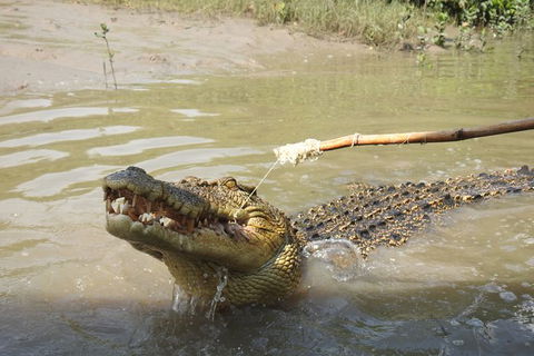 Litchfield And Jumping Crocodiles Full Day Trip From Darwin - Kingaroy Accommodation 17