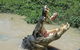 Litchfield And Jumping Crocodiles Full Day Trip From Darwin - thumb 18