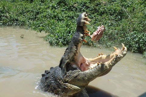 Litchfield And Jumping Crocodiles Full Day Trip From Darwin - Kingaroy Accommodation 18