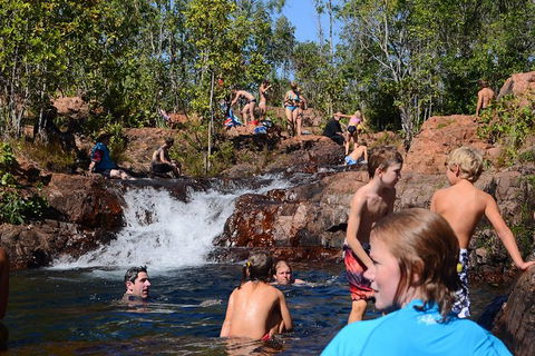 Litchfield And Jumping Crocodiles Full Day Trip From Darwin - Kingaroy Accommodation 10