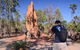 Litchfield And Jumping Crocodiles Full Day Trip From Darwin - thumb 16