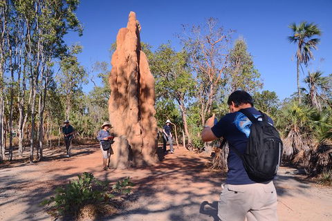 Litchfield And Jumping Crocodiles Full Day Trip From Darwin - Kingaroy Accommodation 16