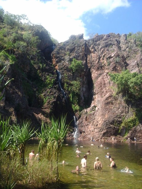 Litchfield National Park Day Tour From Darwin - Kingaroy Accommodation 6