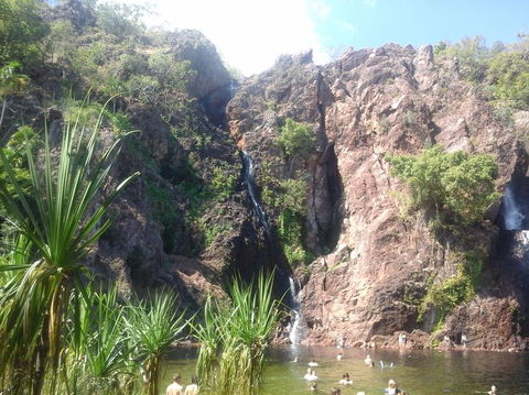 Litchfield National Park Day Tour From Darwin - Kingaroy Accommodation 7