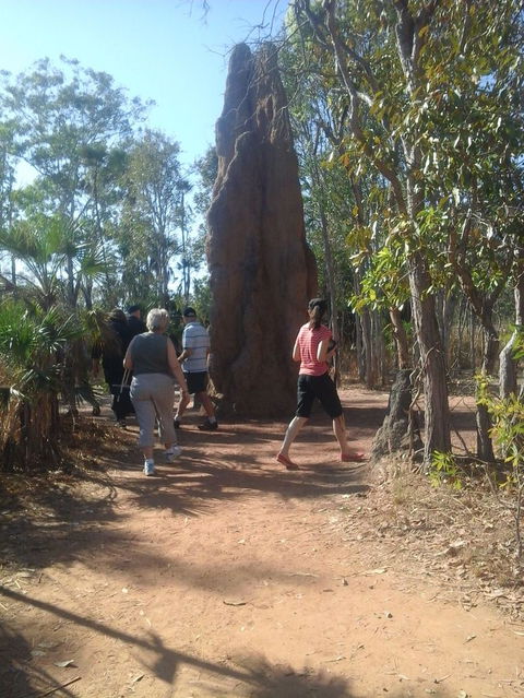 Litchfield National Park Day Tour From Darwin - Kingaroy Accommodation 14