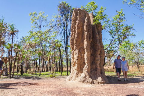 Litchfield National Park Day Tour From Darwin - Kingaroy Accommodation 22