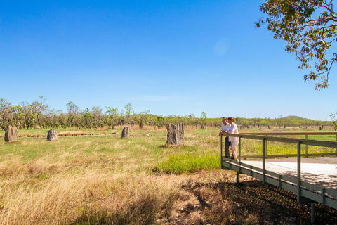 Litchfield National Park Day Tour From Darwin - Kingaroy Accommodation 18
