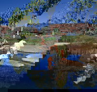 Palm Valley 4WD Tour - Kingaroy Accommodation