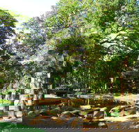 Darwin Afternoon Sightseeing Tour - Kingaroy Accommodation