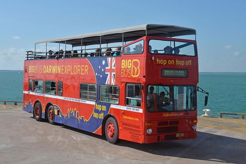 Darwin Hop-on Hop-off Bus Tour - Kingaroy Accommodation 2