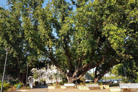 Darwin Heritage Walk - Kingaroy Accommodation 4