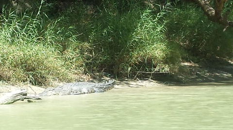 3-Day Kakadu National Park And Waterfalls Tour From Darwin - Kingaroy Accommodation 2